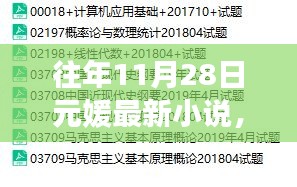 2024年11月 第53頁