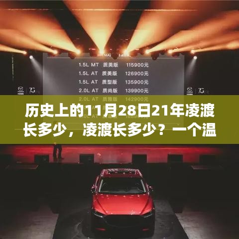 溫馨故事，凌渡車長揭秘，歷史上的今天與溫馨的相遇——11月28日的故事