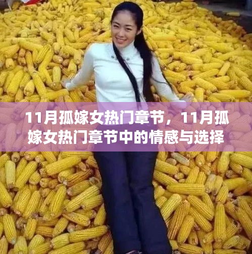 深度解析與觀點(diǎn)闡述，11月孤嫁女熱門章節(jié)中的情感與選擇之路