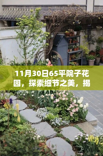 揭秘，11月30日65平院子花園的獨(dú)特魅力與細(xì)節(jié)之美探索
