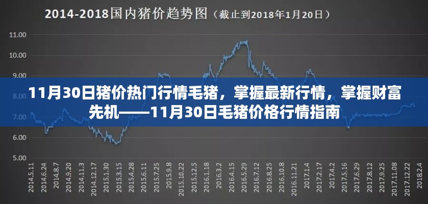 新聞中心 第449頁