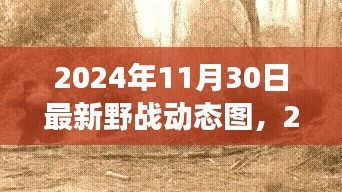 深度解析，最新野戰動態圖揭示的軍事變革與時代地位