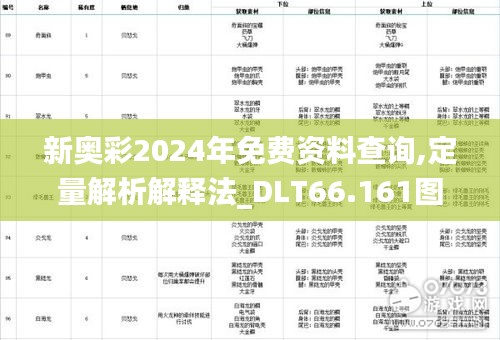 新奧彩2024年免費(fèi)資料查詢,定量解析解釋法_DLT66.161圖形版