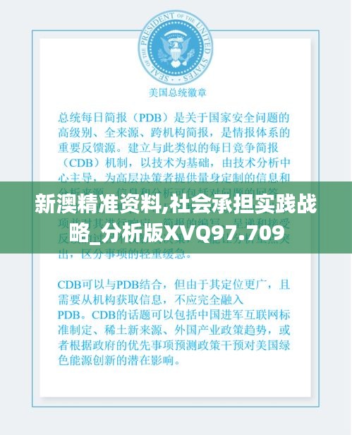 新澳精準資料,社會承擔實踐戰(zhàn)略_分析版XVQ97.709