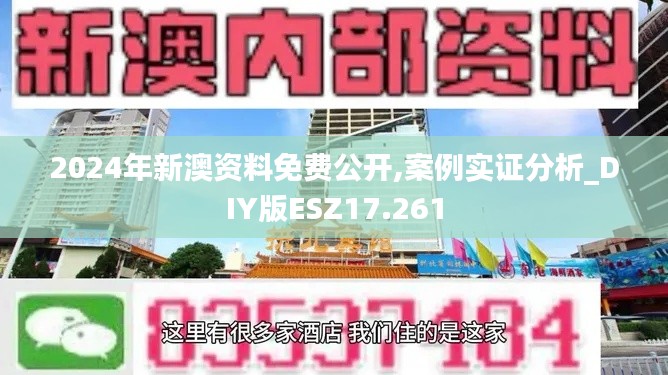 2024年新澳資料免費公開,案例實證分析_DIY版ESZ17.261