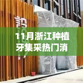 浙江種植牙集采最新動(dòng)態(tài)解析，熱門(mén)消息一網(wǎng)打盡