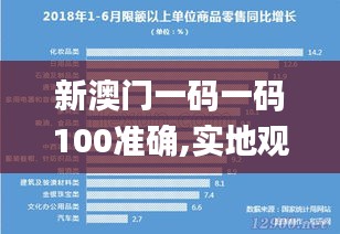 新澳門一碼一碼100準(zhǔn)確,實(shí)地觀察解釋定義_本地版DQF25.598