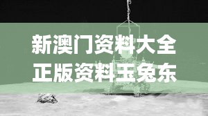 新澳門資料大全正版資料玉兔東升,高速響應(yīng)計(jì)劃執(zhí)行_ZFS46.9271440p