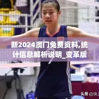 新2024澳門兔費資料,統計信息解析說明_變革版CHV91.816