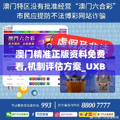 澳門精準正版資料免費看,機制評估方案_UXB82.684晴朗版