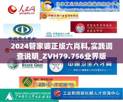 2024管家婆正版六肖料,實踐調查說明_ZVH79.756業界版