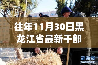 黑龍江省最新干部任命動態，深度解讀與觀點碰撞，歷年趨勢分析