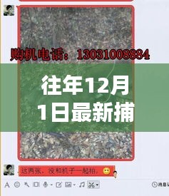 最新捕獵野豬機(jī)詳解，適用于初學(xué)者與進(jìn)階用戶(hù)的操作指南
