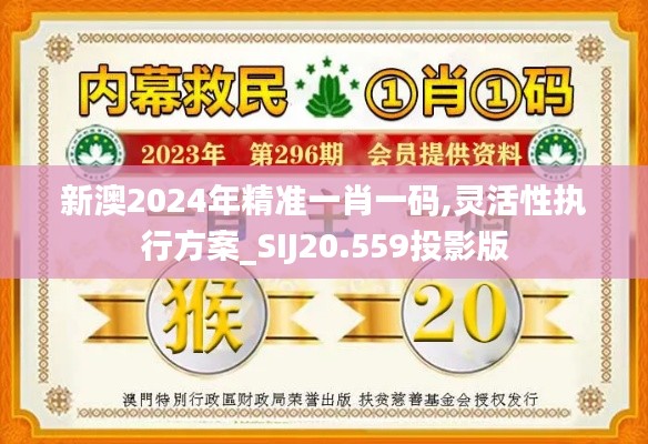 新澳2024年精準一肖一碼,靈活性執行方案_SIJ20.559投影版