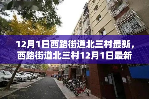西路街道北三村12月1日最新動態概覽，最新消息一覽無余