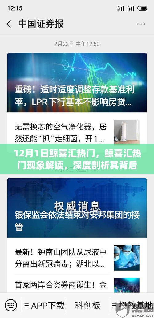 鯨喜匯熱門現象深度解讀，價值與爭議背后的探討