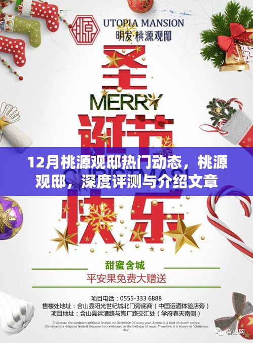 桃源觀邸深度評測與介紹，揭秘十二月熱門動態