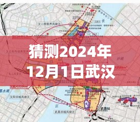 揭秘武漢仁和路未來規劃，展望2024年巨變，自信與成就展現新篇章