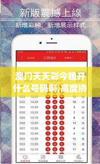 澳門天天彩今晚開什么號碼啊,高度協(xié)調(diào)實施_WEQ97.567計算能力版