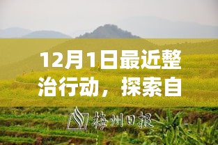 十二月整治行動，探索自然美景，凈化心靈之旅啟程在即