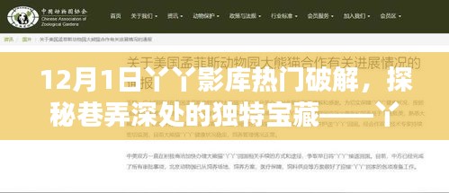 探秘巷弄深處的獨特寶藏，丫丫影庫的電影之旅，熱門破解來襲！