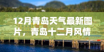 青島十二月風情，天氣與美景最新圖鑒圖片發布