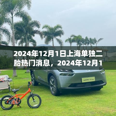上海單獨二胎政策解讀及申請流程指南（2024年12月更新）
