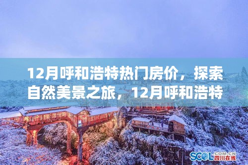 12月呼和浩特房價熱點與自然美景探索，尋找內心的寧靜與平和之旅