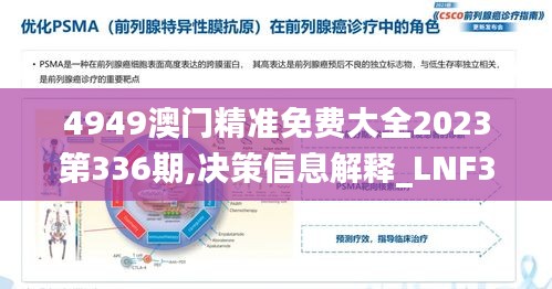 4949澳門精準免費大全2023第336期,決策信息解釋_LNF37.303動態版