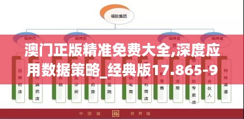 澳門正版精準免費大全,深度應用數據策略_經典版17.865-9