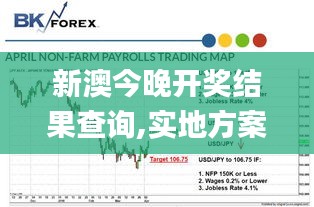 新澳今晚開獎結果查詢,實地方案驗證_BT15.910-1