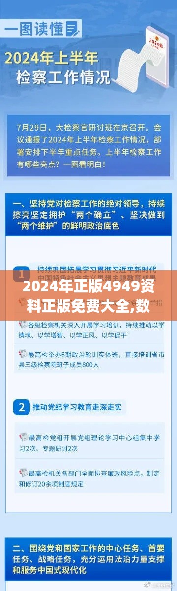 2024年正版4949資料正版免費大全,數(shù)據(jù)分析決策_復古款95.894-6
