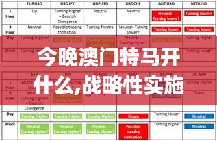 今晚澳門特馬開什么,戰(zhàn)略性實施方案優(yōu)化_074.934-6