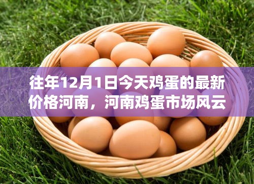 河南雞蛋市場(chǎng)風(fēng)云揭秘，往年12月1日今日雞蛋最新價(jià)格及背后故事深度剖析