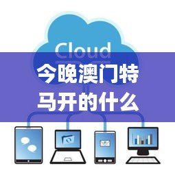 今晚澳門特馬開的什么,實地驗證數據分析_Premium96.373-5