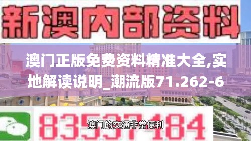 澳門正版免費資料精準大全,實地解讀說明_潮流版71.262-6