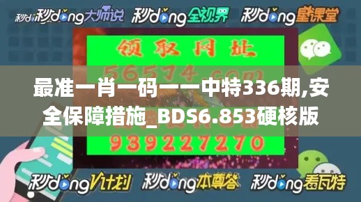 最準一肖一碼一一中特336期,安全保障措施_BDS6.853硬核版