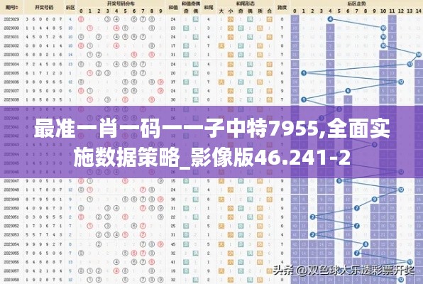 最準一肖一碼一一子中特7955,全面實施數據策略_影像版46.241-2