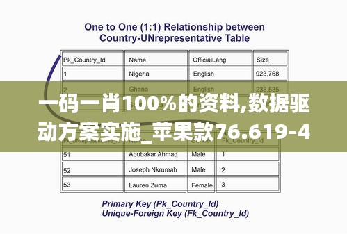 一碼一肖100%的資料,數據驅動方案實施_蘋果款76.619-4