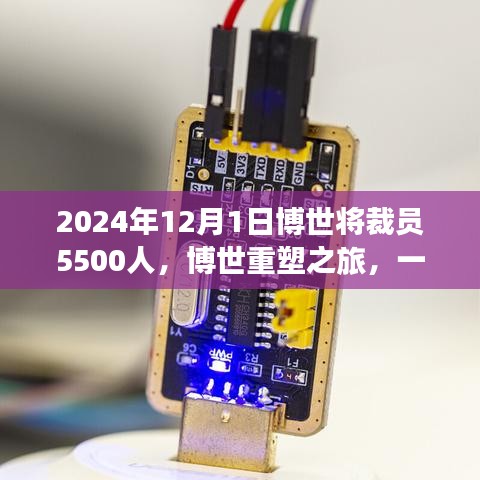 博世重塑之旅，裁員背后的綠色啟示與心靈靜謐之旅的啟示