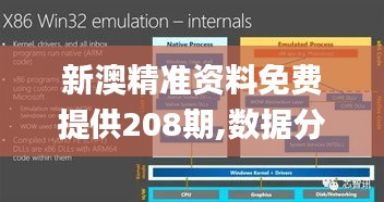 新澳精準資料免費提供208期,數據分析驅動執行_Kindle24.403-8