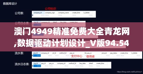 澳門4949精準免費大全青龍網,數據驅動計劃設計_V版94.542-5