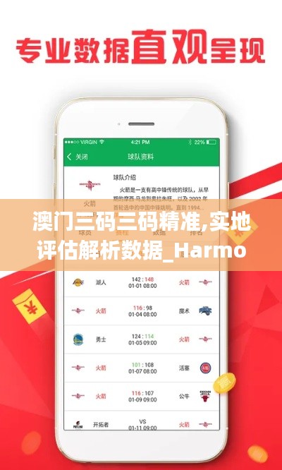 澳門三碼三碼精準,實地評估解析數(shù)據(jù)_Harmony9.264-2