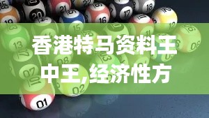 香港特馬資料王中王,經濟性方案解析_專業款5.987-7