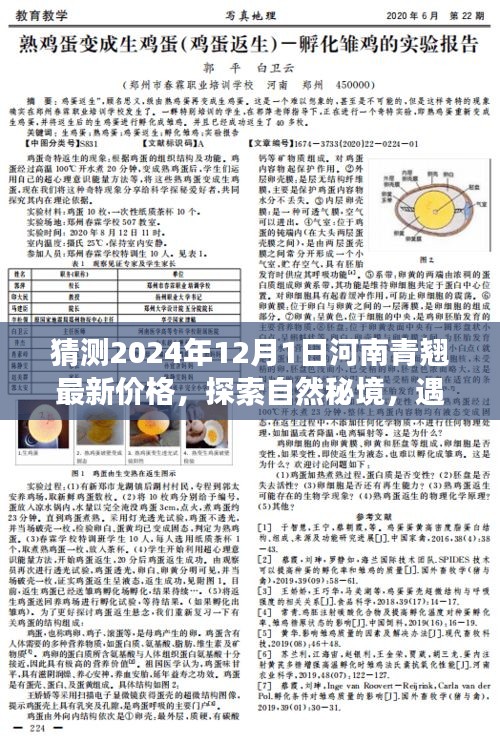 2024年河南青翹最新價格預測，探尋自然秘境中的青翹之舞