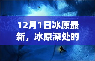 冰原深處的驚喜與小巷美食驛站，最新探索報告（12月1日）