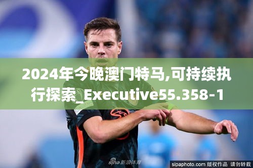 2024年今晚澳門特馬,可持續執行探索_Executive55.358-1