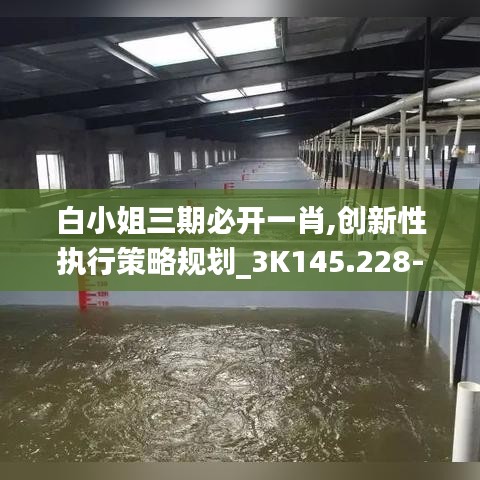 白小姐三期必開一肖,創新性執行策略規劃_3K145.228-6