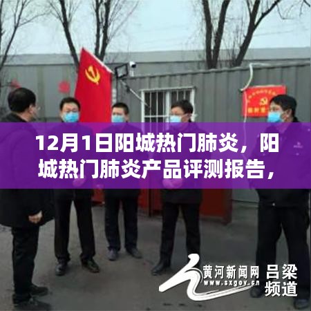 陽城熱門肺炎產品評測報告，特性、體驗、競品對比及用戶群體深度分析