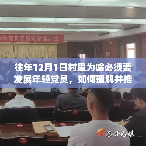 發(fā)展年輕黨員，推動(dòng)鄉(xiāng)村振興，村里發(fā)展年輕黨員的策略與步驟指南